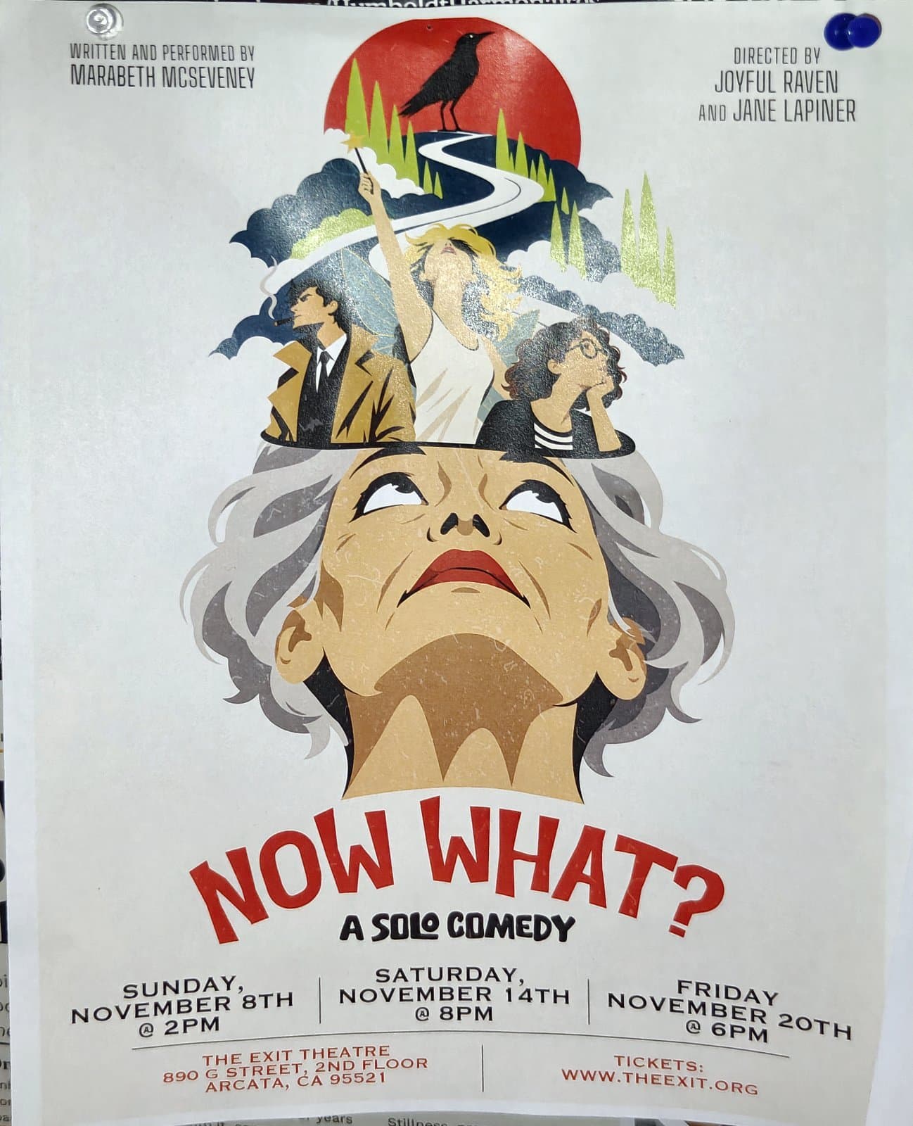 Flyer for Now What? A Solo Comedy
