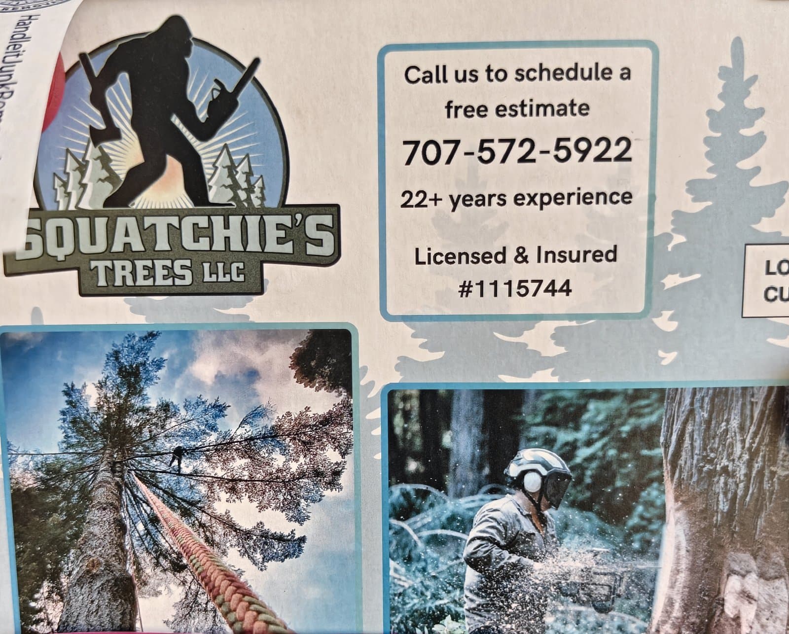 Flyer for Squatchie's Trees LLC