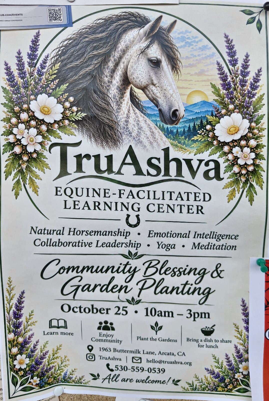 Flyer for TruAshva Community Blessing & Garden Planting