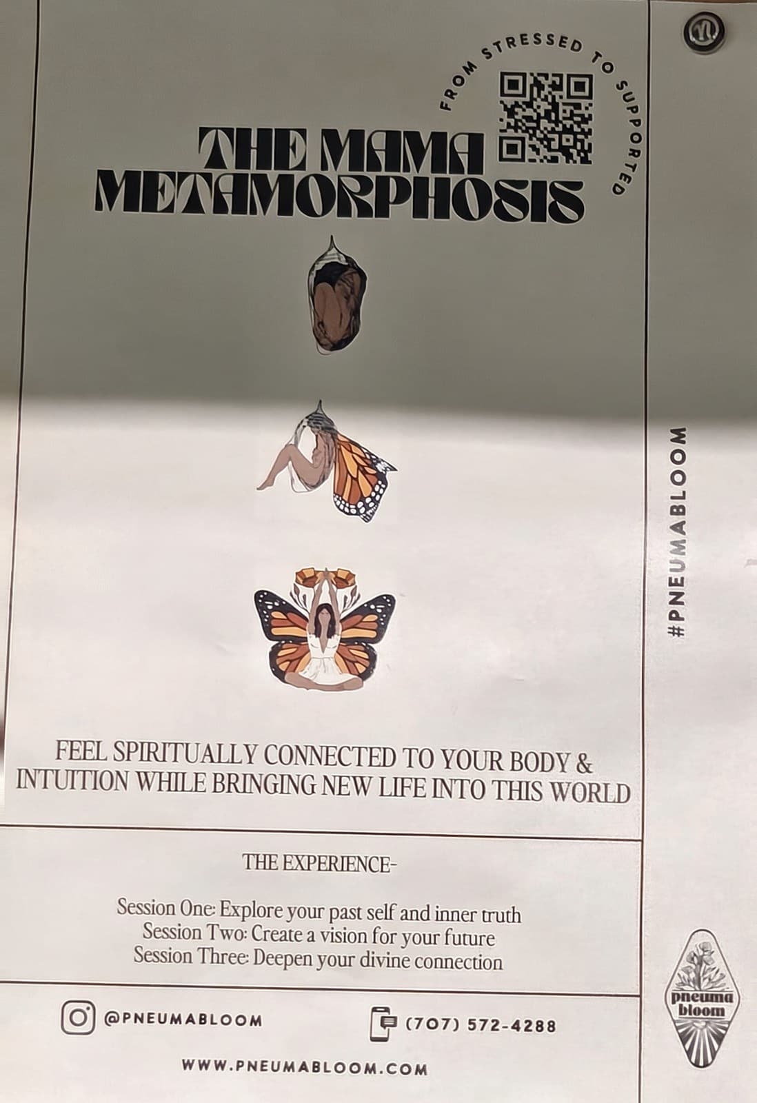 Flyer for The Mama Metamorphosis